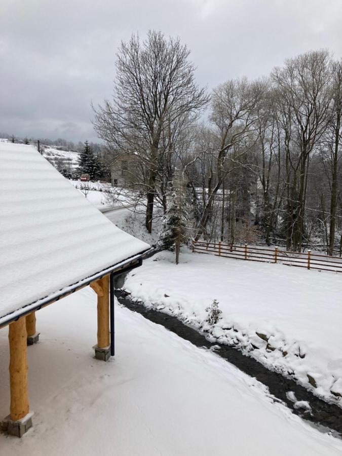 Villa Nad Potokiem W Gorach *
